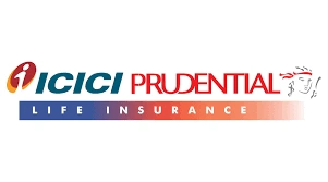 Partner