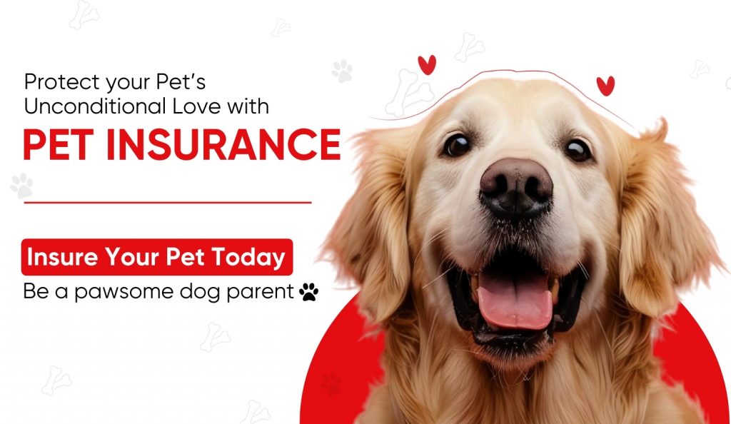 pet-insurance